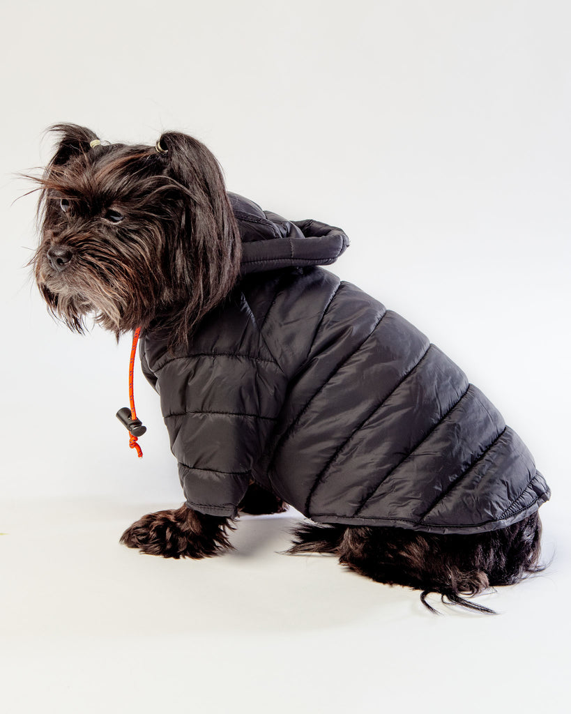 Dog Puffer Jacket in Black << FINAL SALE >> Wear WAGWEAR   