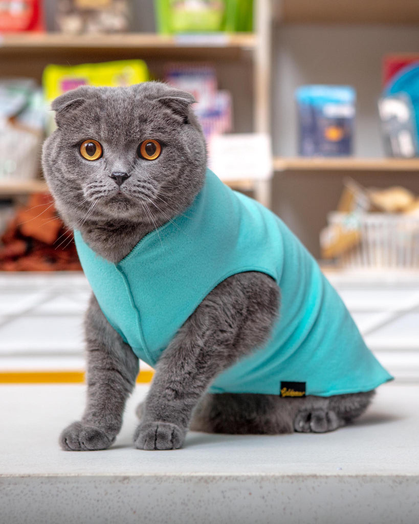 Stretch Fleece Pullover in Turquoise Wear GOLD PAW   