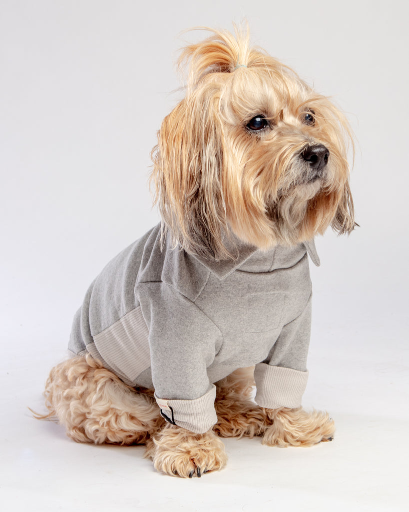 High V-Neck Pullover in Light Grey<br>((FINAL SALE)) Wear THE FURRY FOLKS   