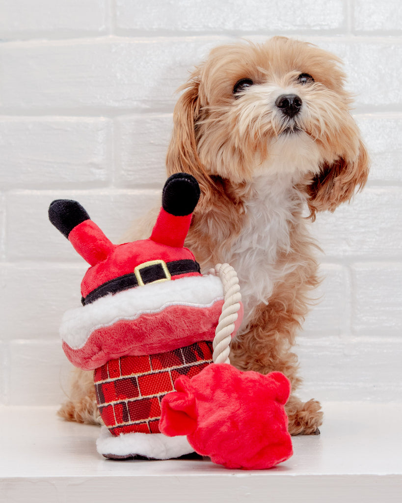 Clumsy Claus Holiday Squeak + Crinkle Dog Toy << FINAL SALE >> Play P.L.A.Y.   