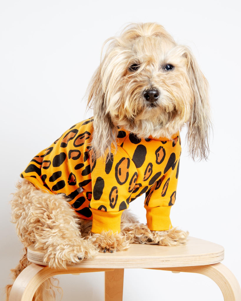 Animal Print Dog Sweatshirt in Yellow (FINAL SALE) Wear HUTS & BAY   