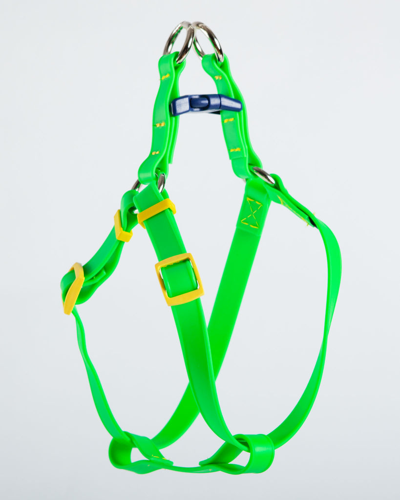 A Walk in the Park Dog Harness (Made in the USA) (FINAL SALE) WALK DOG & CO. COLLECTION   