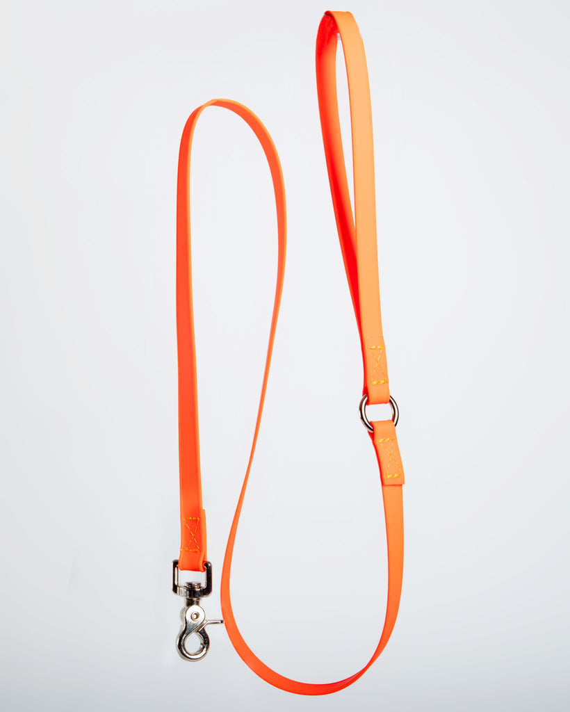A Walk in the Park Dog Leash (Made in the USA) WALK DOG & CO. COLLECTION Small (4 ft) Orange 