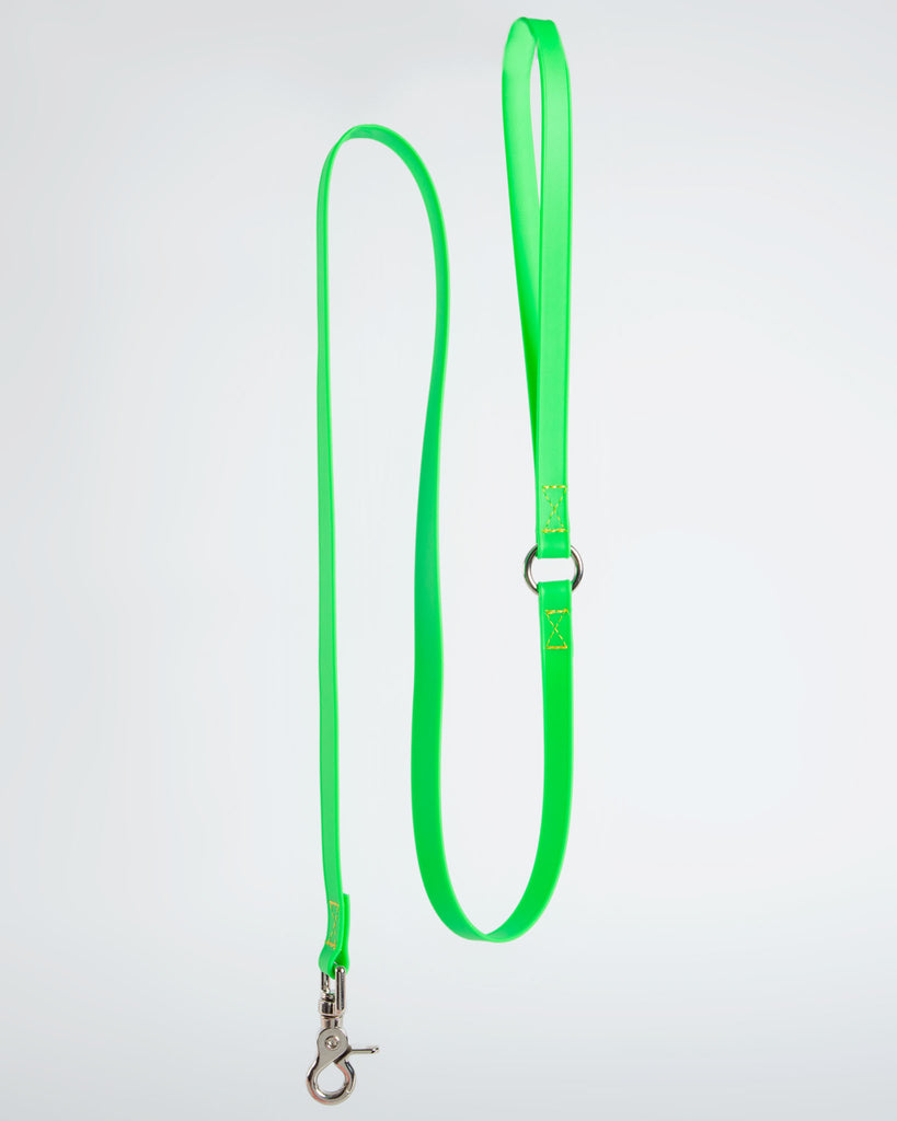 A Walk in the Park Dog Leash (Made in the USA) WALK DOG & CO. COLLECTION Small (4 ft) Green 