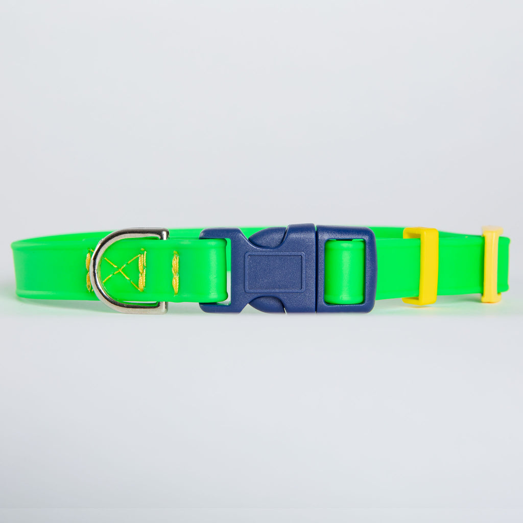 A Walk in the Park Dog Collar in Neon Green (Made in the USA) WALK DOG & CO. COLLECTION   