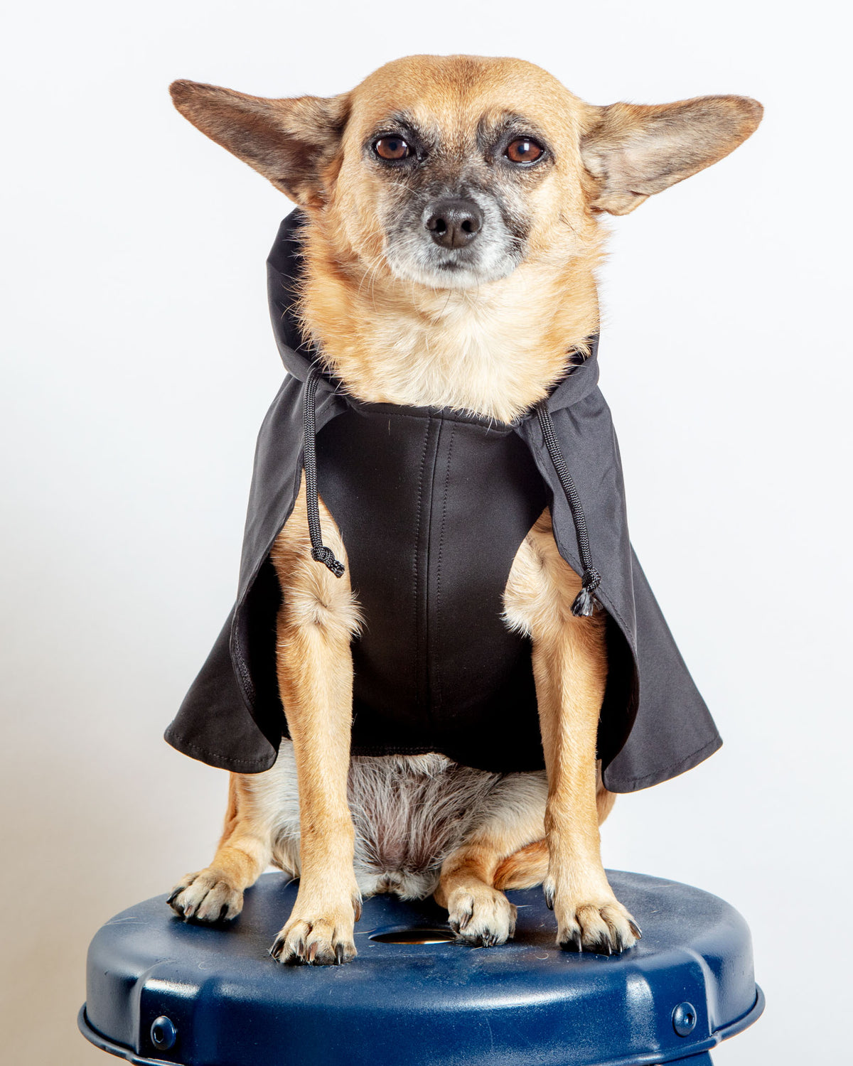 Buy Wholesale China Designer Dog Clothes Reflective Dog Raincoat