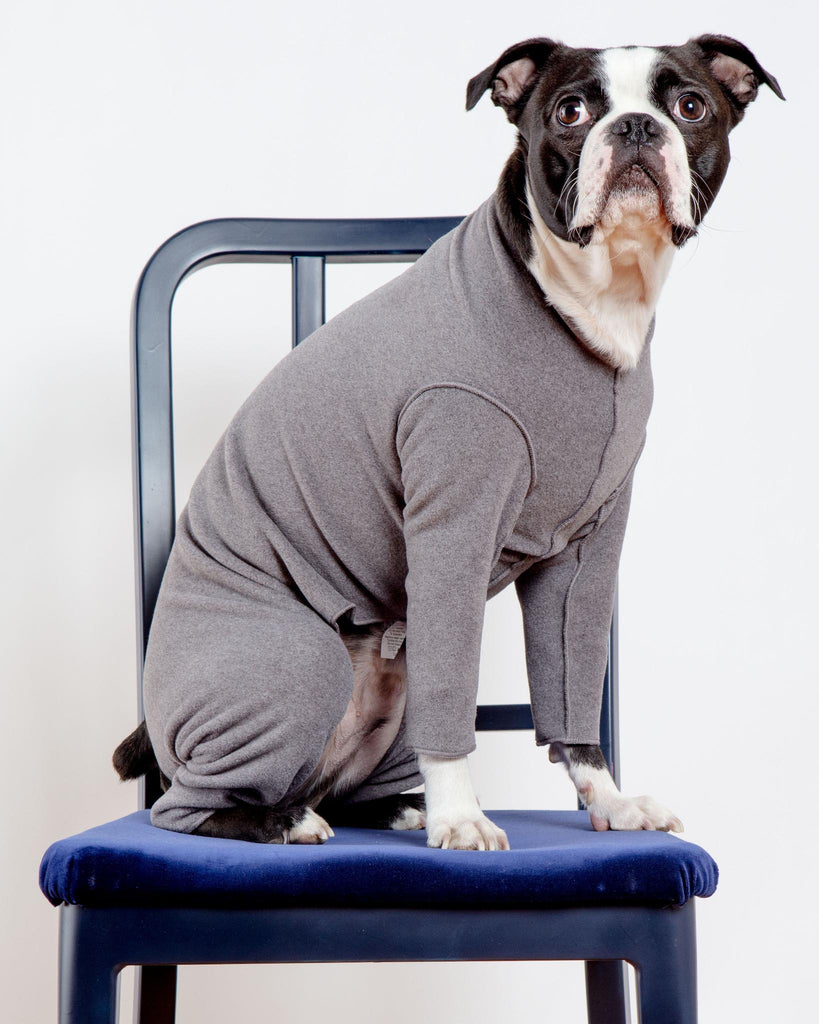 Stretch Fleece Onesie in Charcoal (Made in the USA, DOG & CO. + GOLD PAW Exclusive!) Wear DOG & CO. COLLECTION   