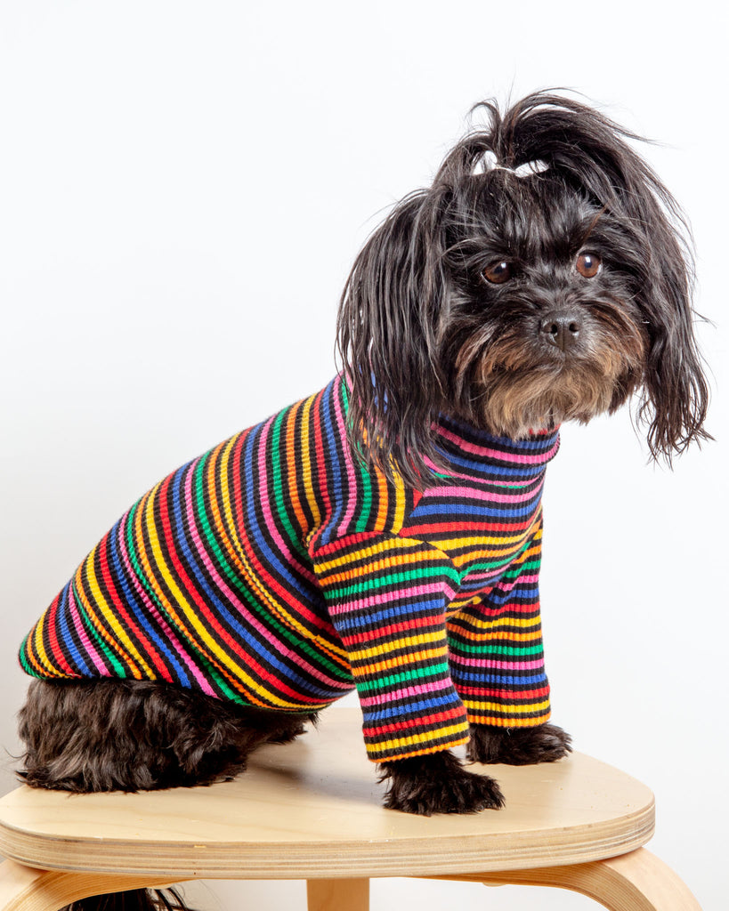 Fantastic Ribbed Dog Pullover (FINAL SALE) Wear LITTLE BEAST   