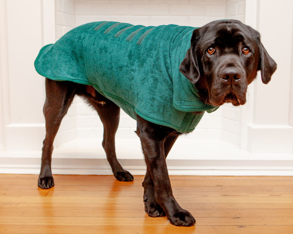 Dog Drying Coat in Bottle Green (Made in the UK) (CLEARANCE) HOME RUFF AND TUMBLE   