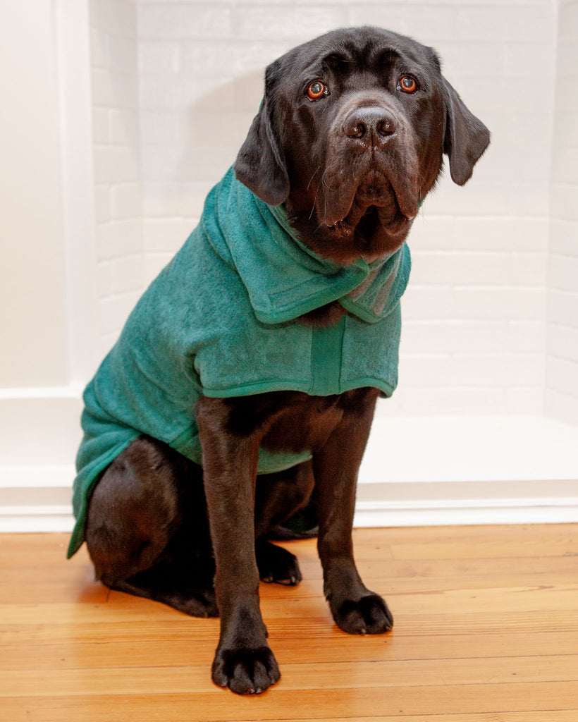Dog Drying Coat in Bottle Green (Made in the UK) (CLEARANCE) HOME RUFF AND TUMBLE   