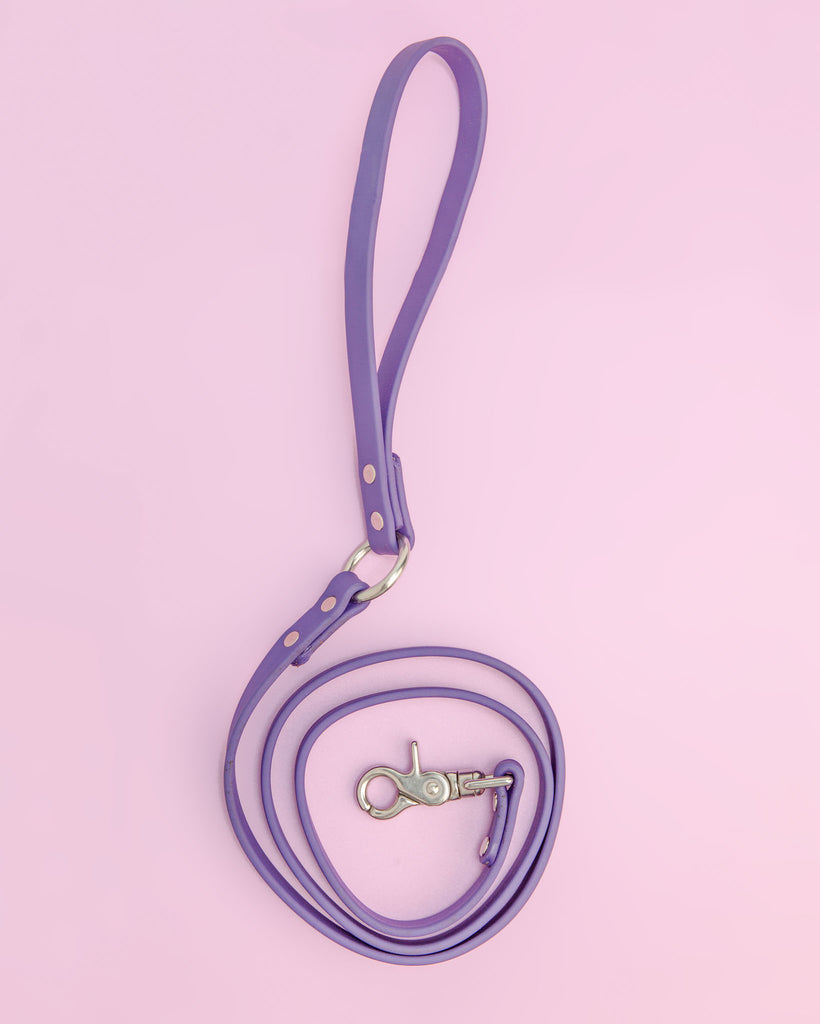 City Leash in Royal Purple (FINAL SALE) WALK DOG & CO. COLLECTION   
