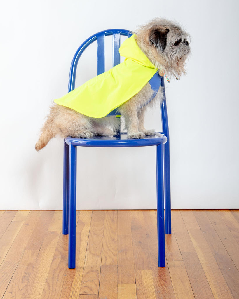 Action Jacket Pull-On Raincoat in Safety Yellow + Blue (Made in NYC) Wear DOG & CO. COLLECTION   