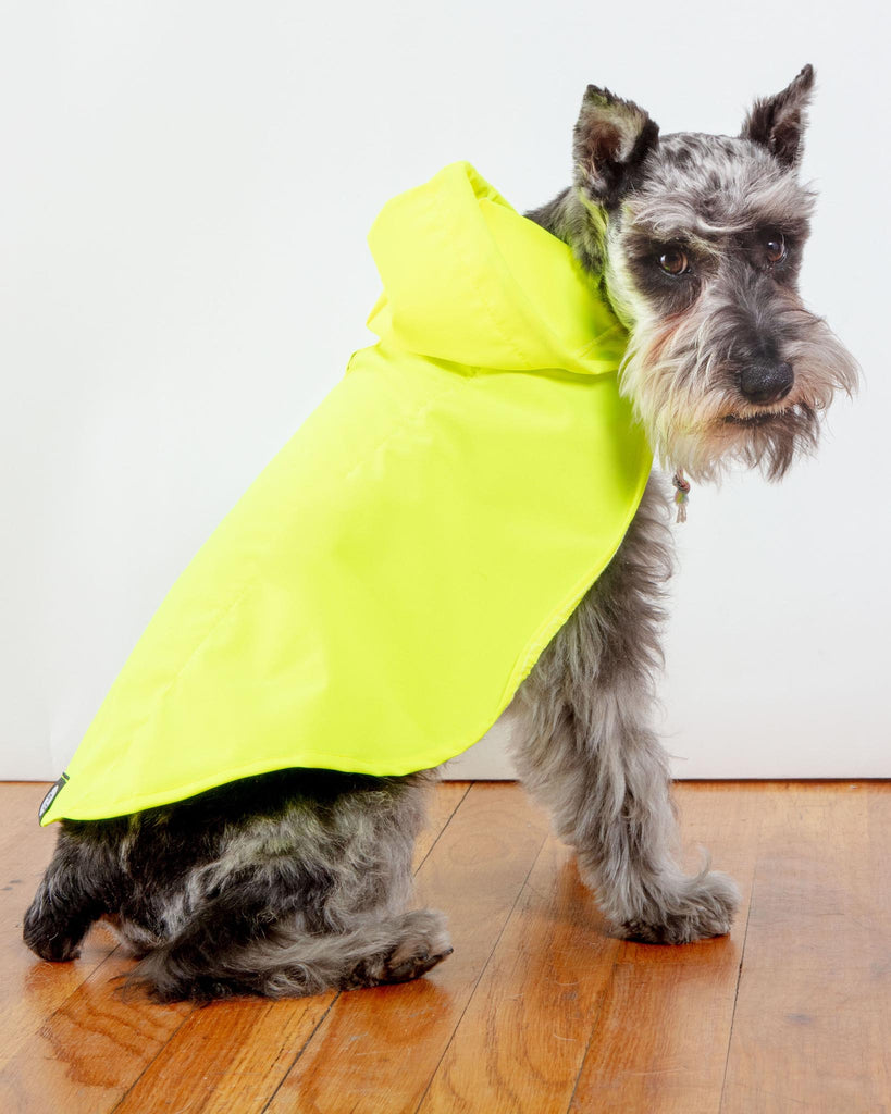 Action Jacket Pull-On Raincoat in Safety Yellow + Blue (Made in NYC) Wear DOG & CO. COLLECTION   