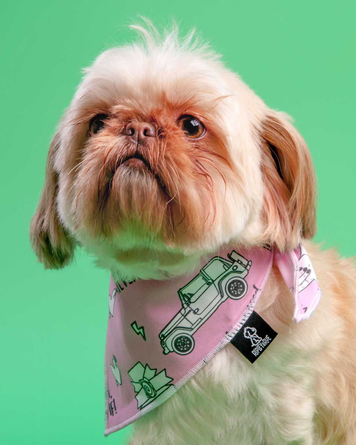 Bandanas ripley discount