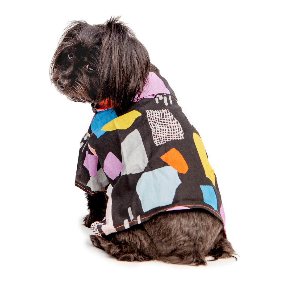 Shop new arrivals dog threads