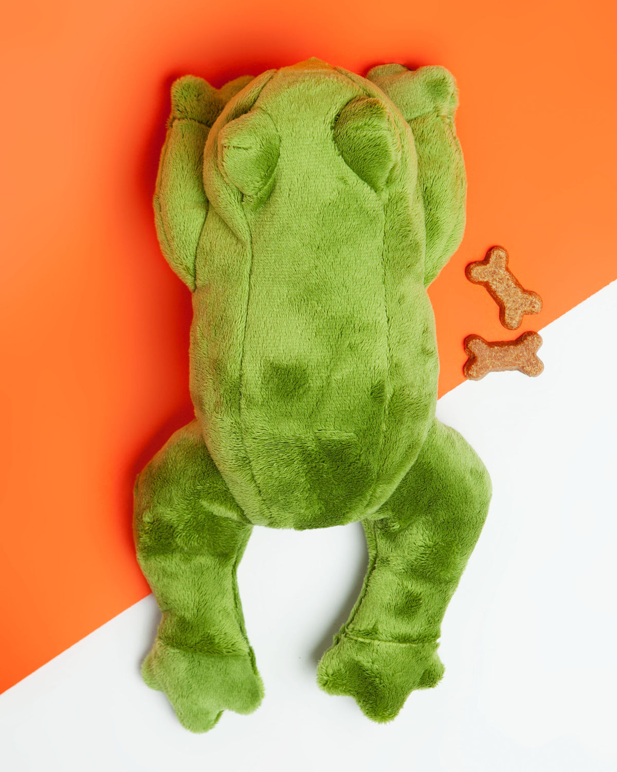 Squeaky frog store dog toy