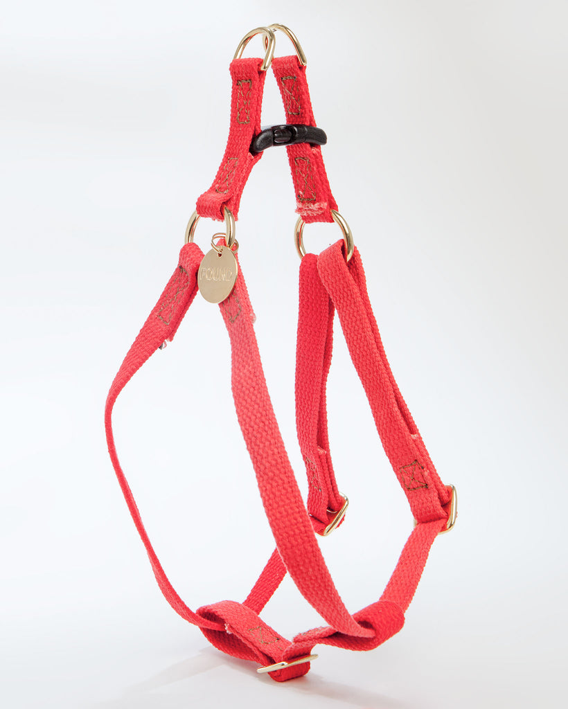 Cotton Webbing Harness in Coral Harness FOUND MY ANIMAL   