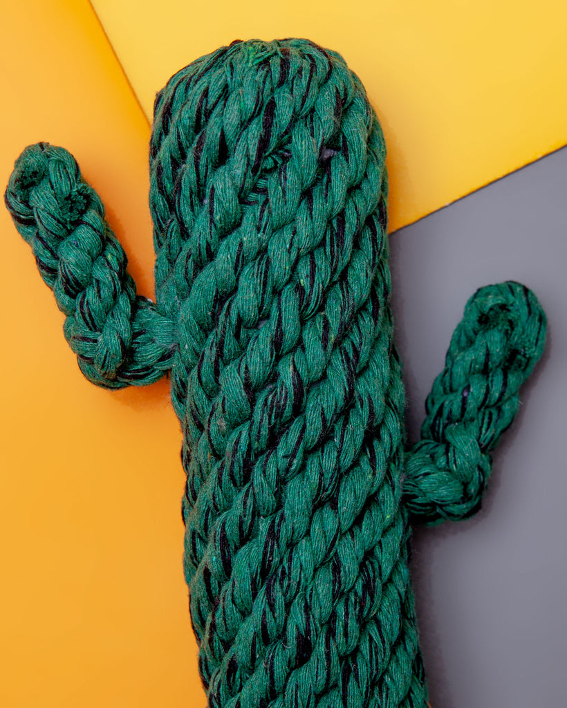 Cactus Rope Dog Toy Play JAX & BONES   