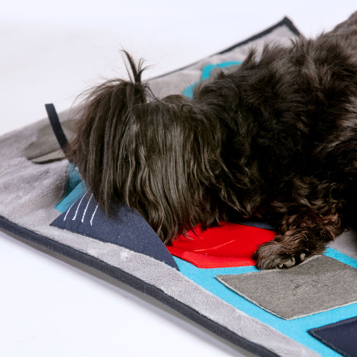 PUPPIA Puptropolis Dog Activity Mat DOG & CO.