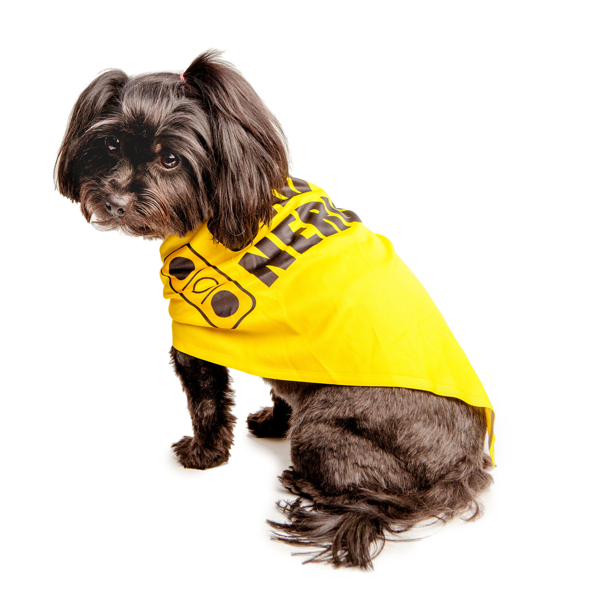Yellow outlet dog bandana