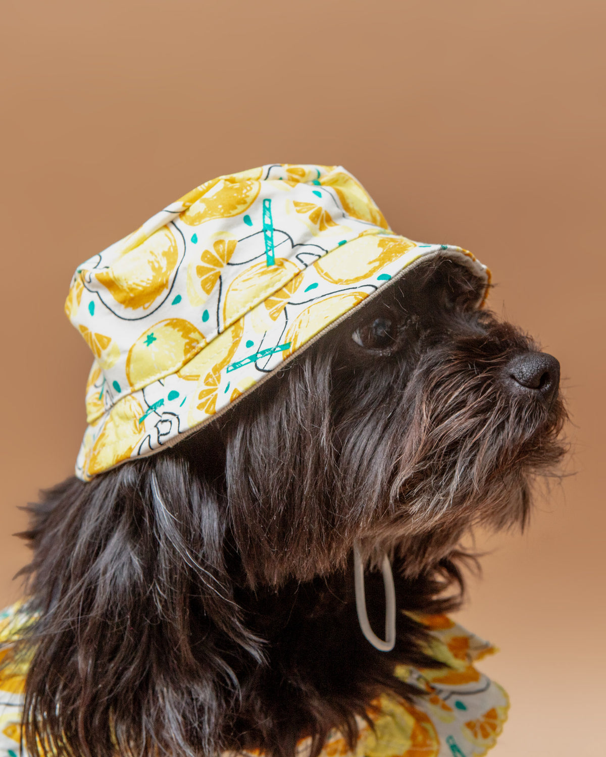 Dog Animal Bucket Hats Cool Factor Puppy Dog Fleece Bucket Hat