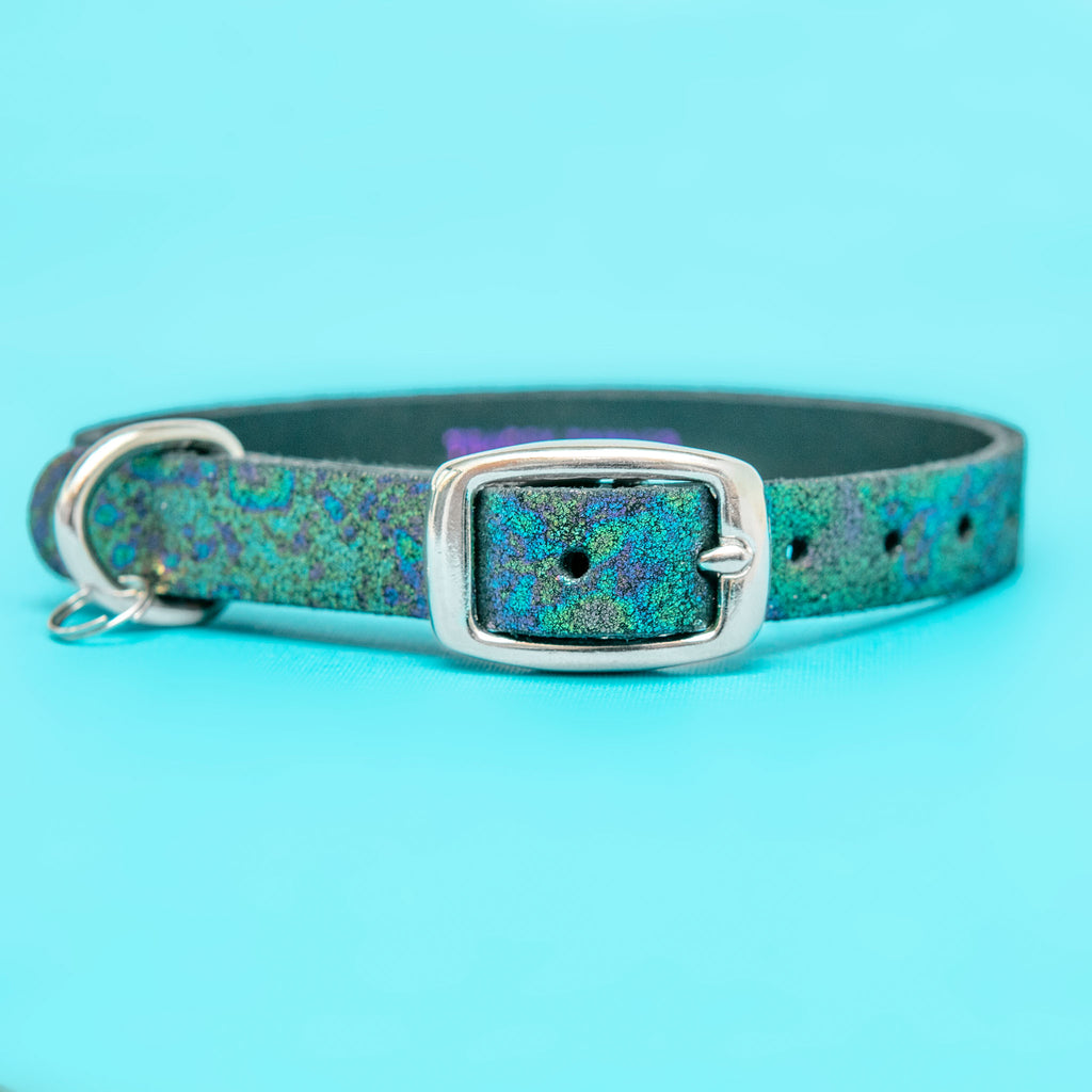 The Cleo Leather Tag Collar in Oil Slick Sparkle (Exclusive to Dog & Co.) << FINAL SALE >> WALK TRACEY TANNER   