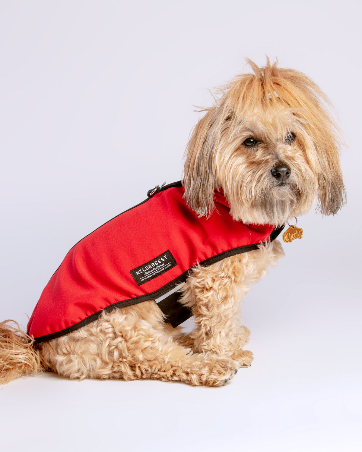 Wildebeest dog sale jacket