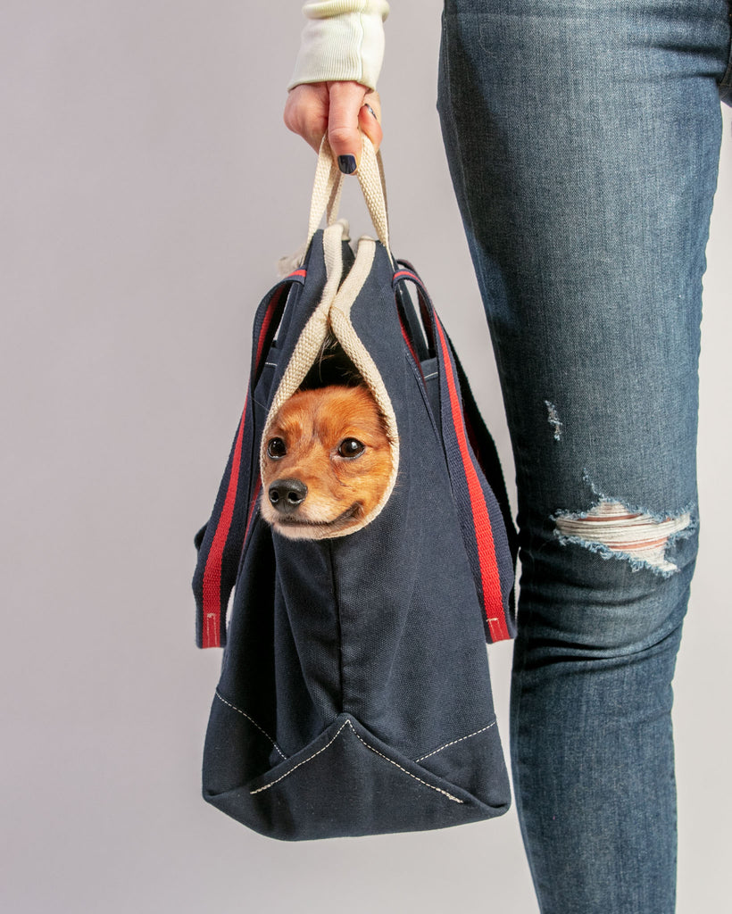 City Carrier Dog Bag in Size 2 Carry DOG & CO. COLLECTION   