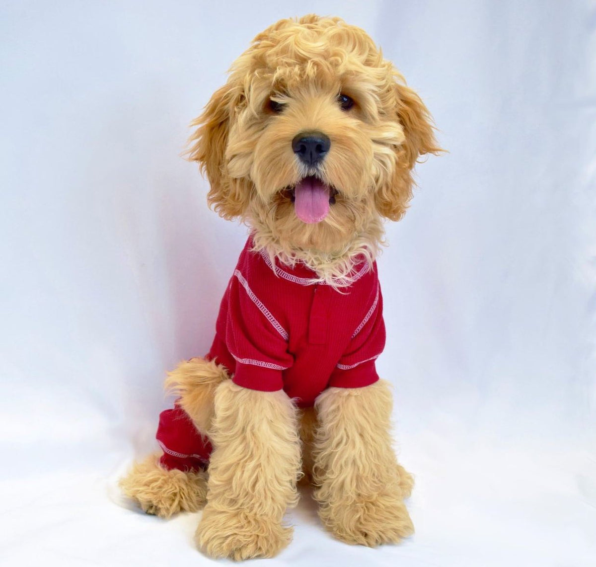 Fab deals dog coats