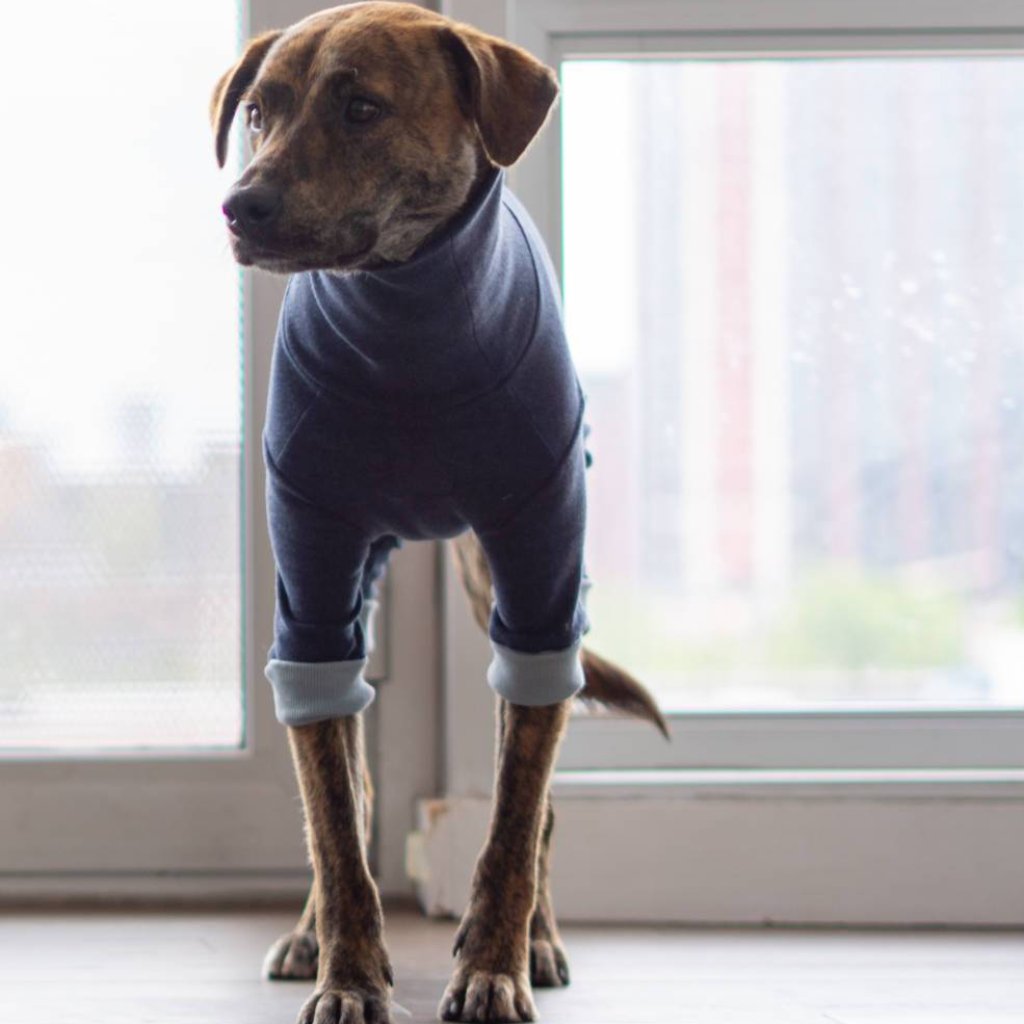 THE FURRYFOLKS | High Neck Jumpsuit in Navy Apparel THE FURRY FOLKS   