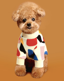 C1 Colorful Design Dog Sweatshirt in Ivory Wear HUTS & BAY   