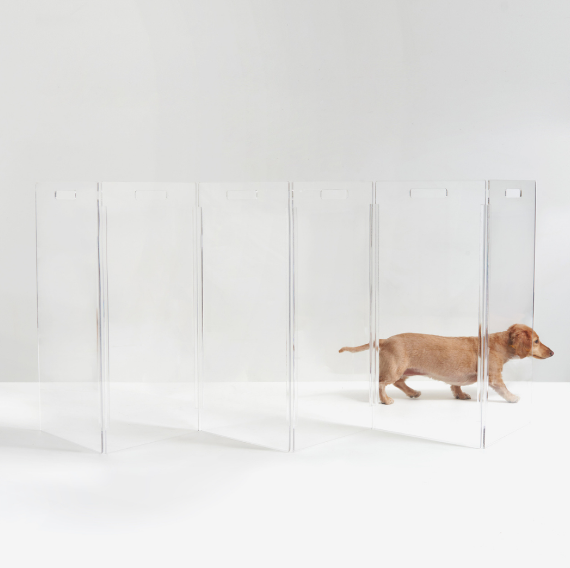 HIDDIN Clear Lucite Freestanding Zig Zag Pet Gate Made in the USA DOG CO