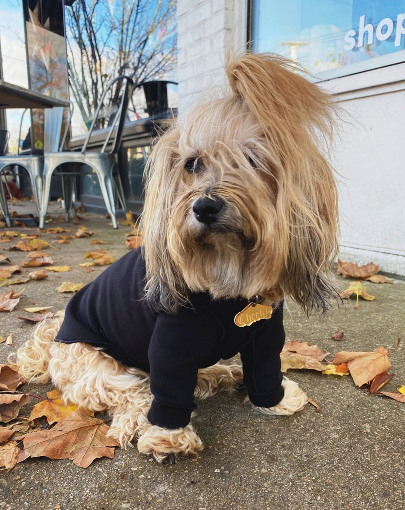 Long-Sleeve Pullover Stretch Dog Fleece in Black (Made in the USA, Dog & Co. Exclusive!) Wear DOG & CO. COLLECTION   