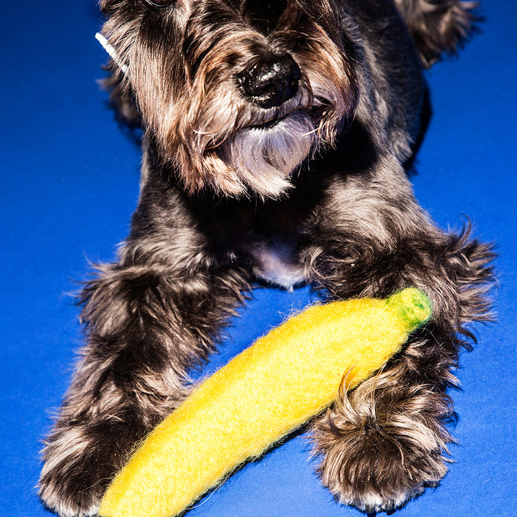 Boiled Wool Banana Dog Toy Toys WARE OF THE DOG   