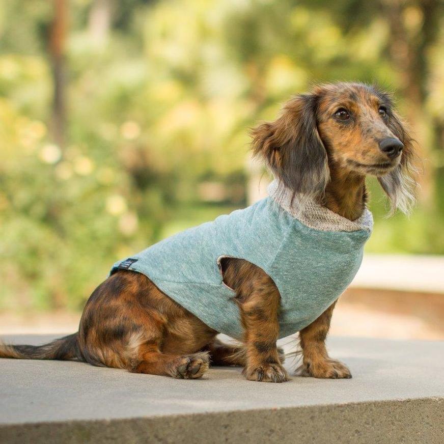 Long dog apparel top