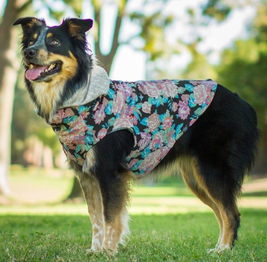 Long dog apparel top