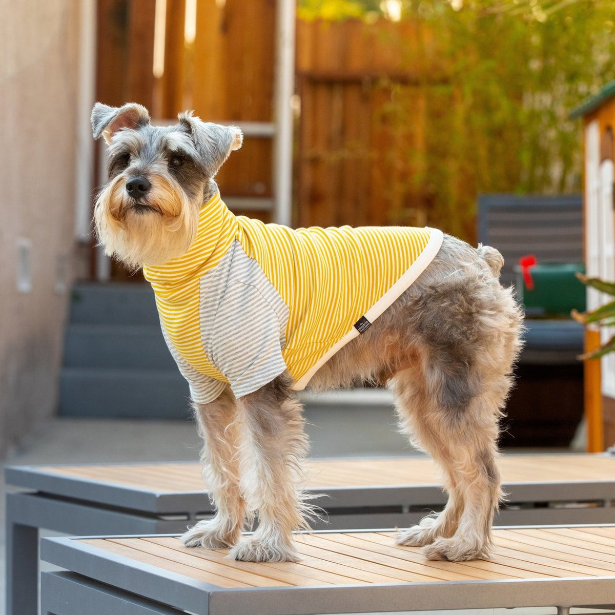 Bird dog apparel clearance