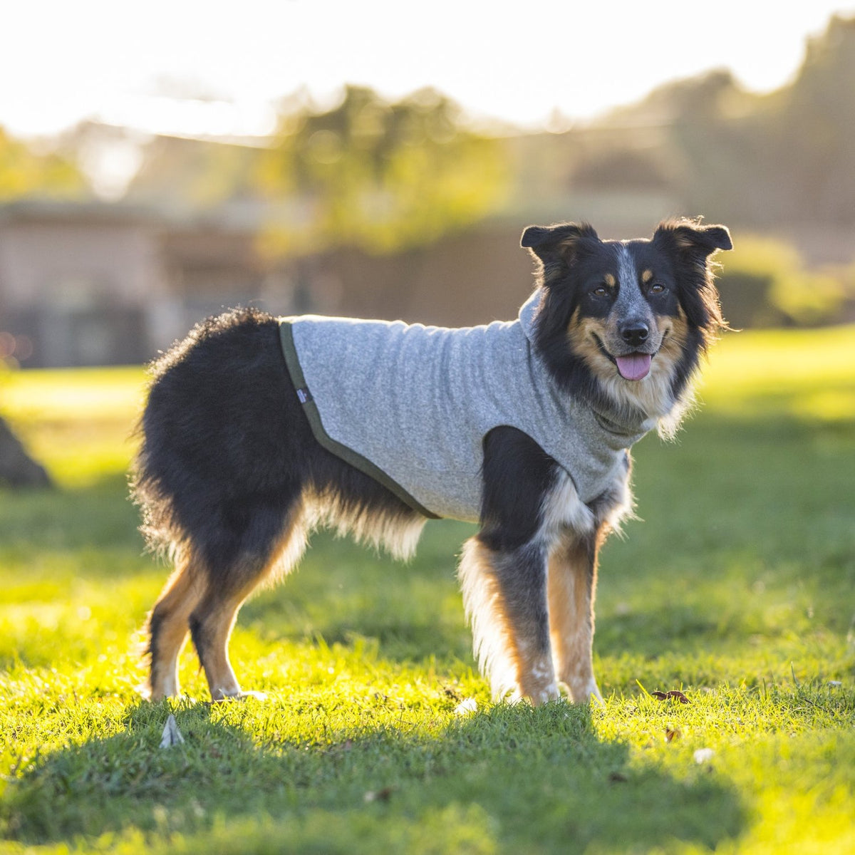LONG DOG CLOTHING The Yosemite DOG CO