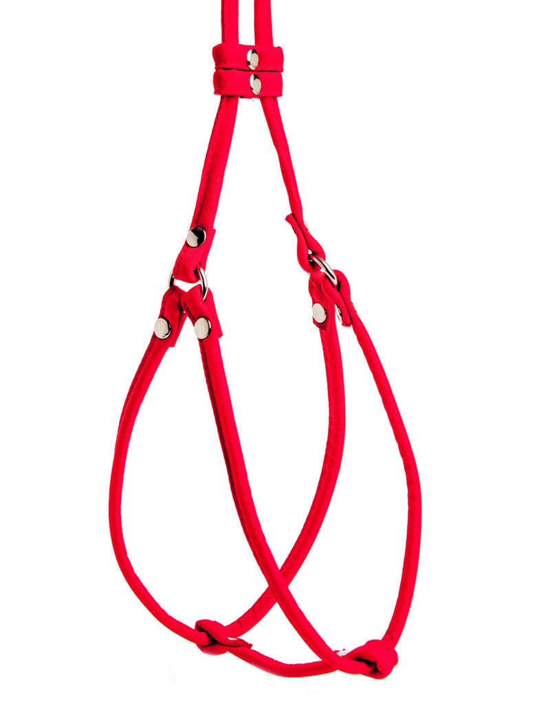 Nylon Step-In Adjustable Dog Harness in Red (Made in the USA) WALK DOG & CO.   