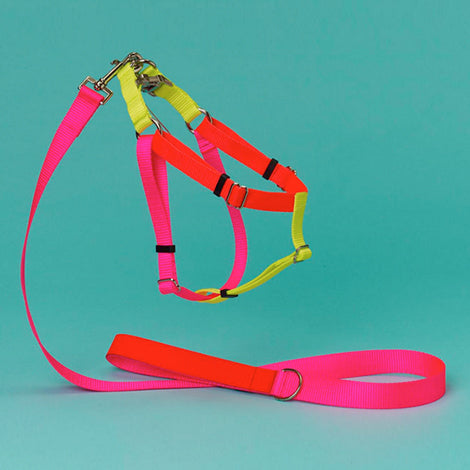 Nylon Colorblock Dog Harness in Neon Pink/Orange/Yellow (Made in the USA) WALK WARE OF THE DOG   
