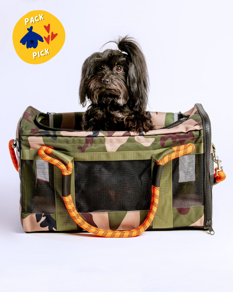 Out-Of-Office Dog Carrier in Camo with Orange Straps