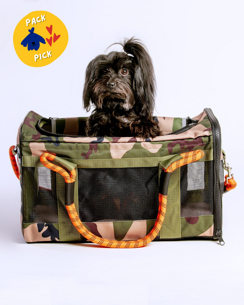 Out Of Office Dog Carrier in Camo with Orange Straps