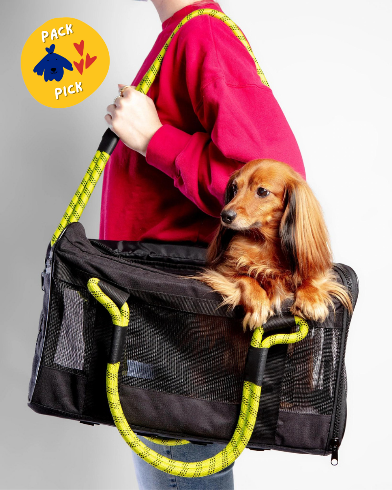 Out-Of-Office Dog Carrier in Black with Neon Yellow Straps Carry ROVERLUND   