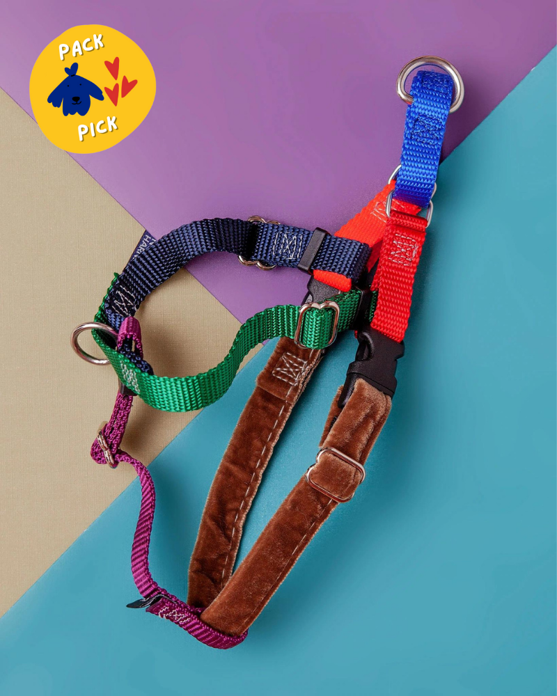 2 hound design dog harness clearance