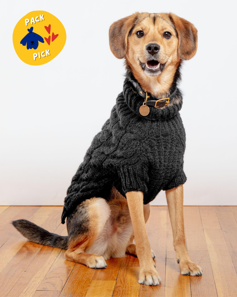 Downtown Roll Neck Dog Sweater in Black (FINAL SALE) Wear DOG & CO. COLLECTION   