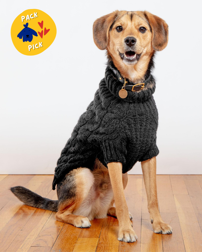Black turtleneck for dogs hot sale