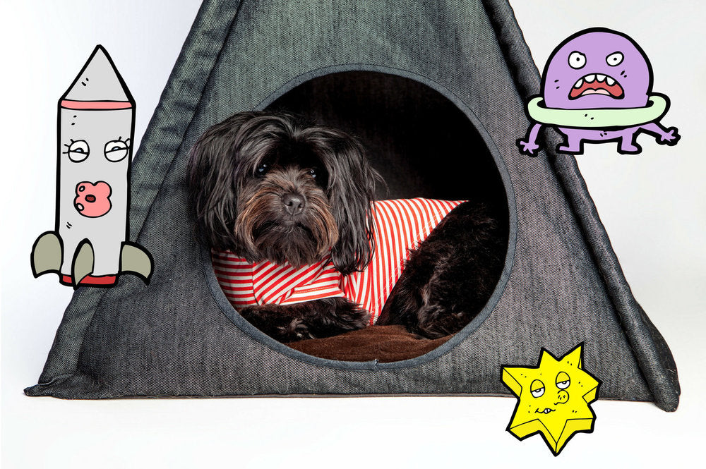 Denim Pet Teepee (Direct-Ship) HOME P.L.A.Y.   