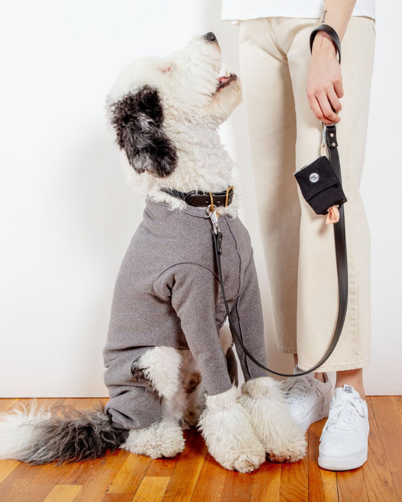 Stretch Fleece Onesie in Charcoal (Made in the USA, DOG & CO. + GOLD PAW  Exclusive!)