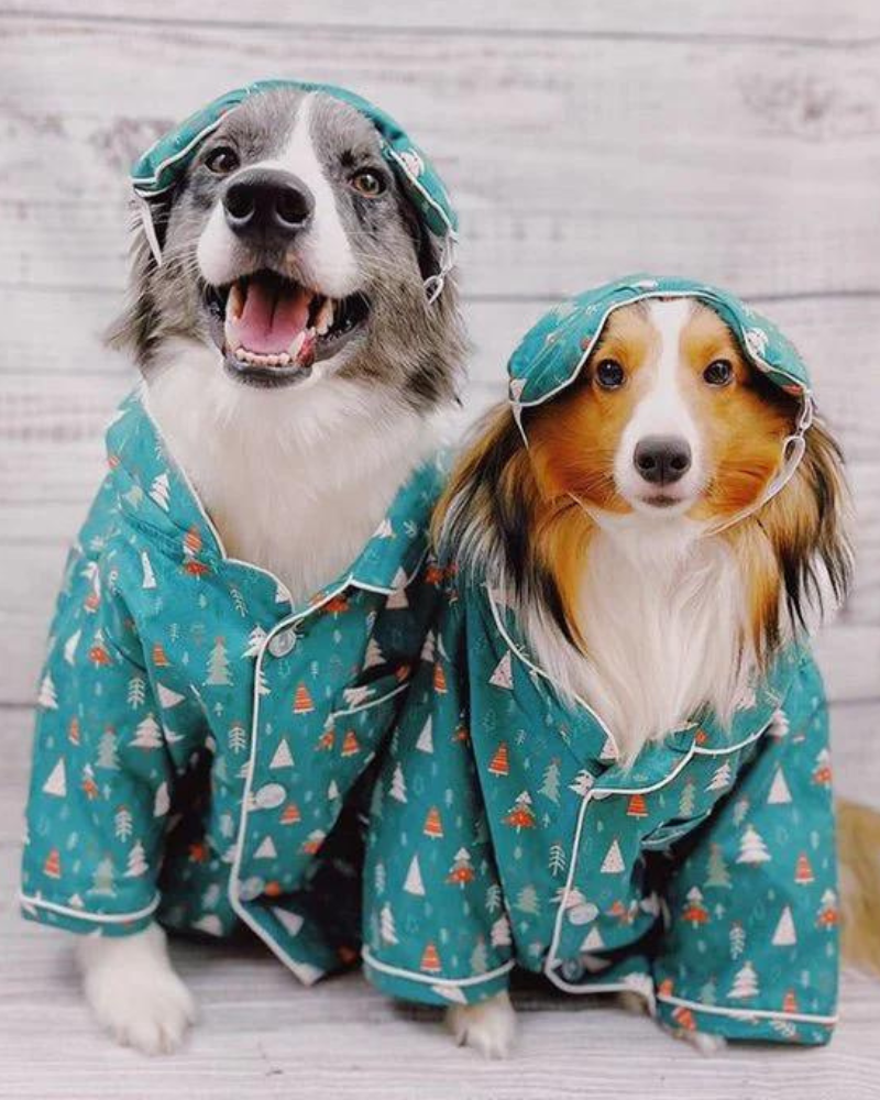 Lands end discount dog pajamas