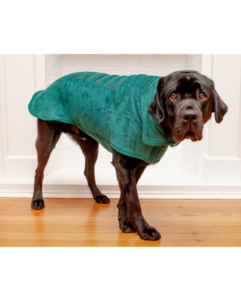 Ruff and tumble deals dog
